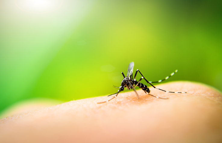 Covid fatalities on the rise; dengue, typhoid also spread tentacles